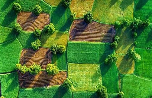 Договор аренды земли – о чем должны помнить арендатор и арендодатель